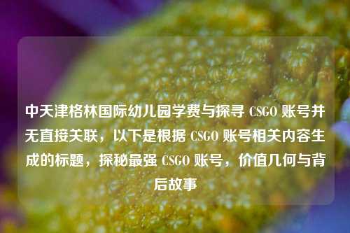 中天津格林国际幼儿园学费与探寻 CSGO 账号并无直接关联，以下是根据 CSGO 账号相关内容生成的标题，探秘最强 CSGO 账号，价值几何与背后故事