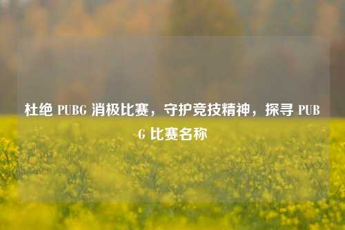杜绝 PUBG 消极比赛，守护竞技精神，探寻 PUBG 比赛名称