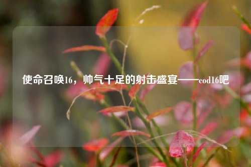 使命召唤16，帅气十足的射击盛宴——cod16吧