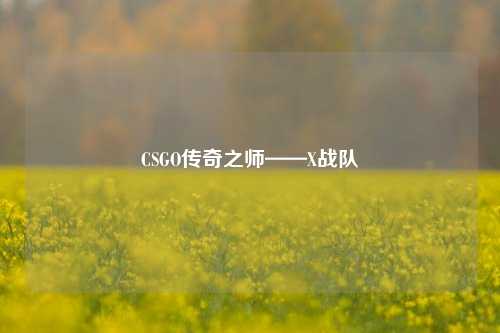 CSGO传奇之师——X战队
