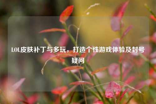 LOL皮肤补丁与多玩，打造个性游戏体验及封号疑问