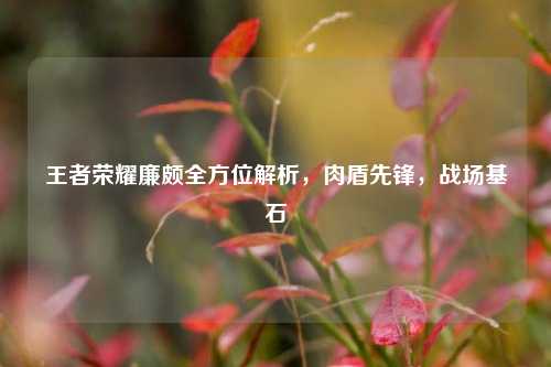 王者荣耀廉颇全方位解析，肉盾先锋，战场基石