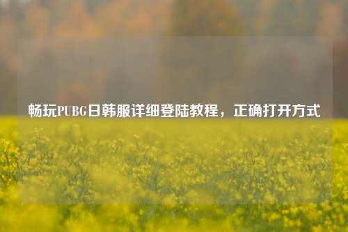 畅玩PUBG日韩服详细登陆教程，正确打开方式