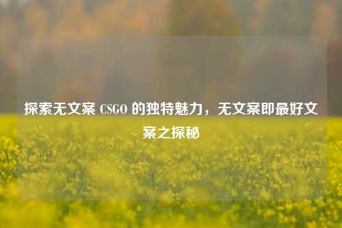 探索无文案 CSGO 的独特魅力，无文案即最好文案之探秘