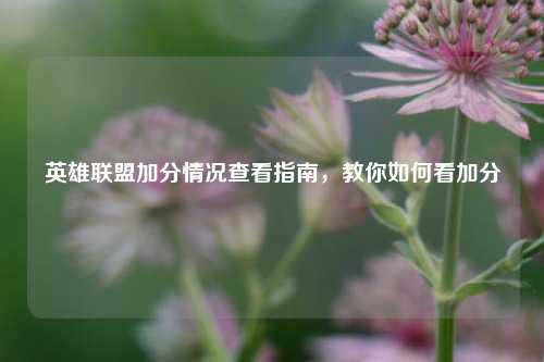 英雄联盟加分情况查看指南，教你如何看加分
