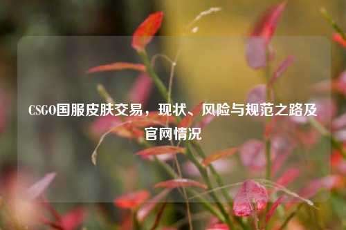 CSGO国服皮肤交易，现状、风险与规范之路及官网情况