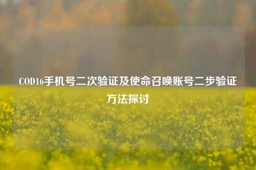 COD16手机号二次验证及使命召唤账号二步验证方法探讨