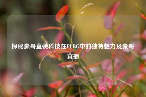 探秘豪哥直装科技在PUBG中的独特魅力及豪哥直播
