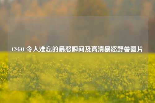 CSGO 令人难忘的暴怒瞬间及高清暴怒野兽图片