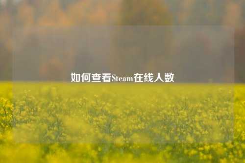 如何查看Steam在线人数