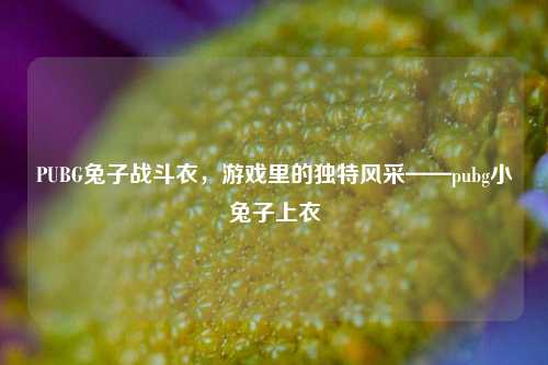 PUBG兔子战斗衣，游戏里的独特风采——pubg小兔子上衣