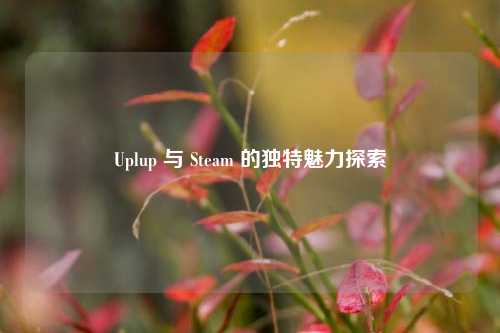 Uplup 与 Steam 的独特魅力探索