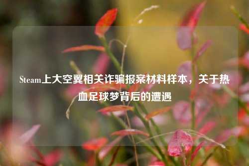 Steam上大空翼相关诈骗报案材料样本，关于热血足球梦背后的遭遇