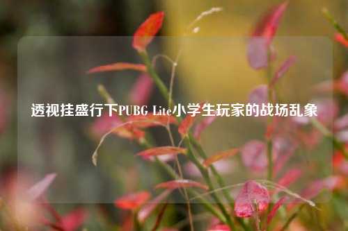 透视挂盛行下PUBG Lite小学生玩家的战场乱象