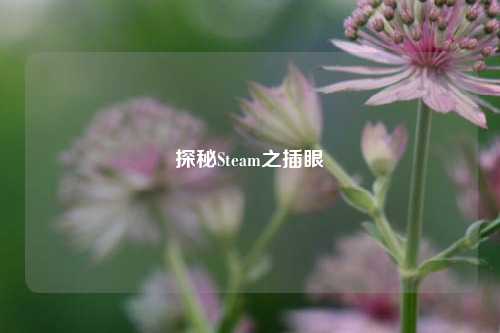 探秘Steam之插眼