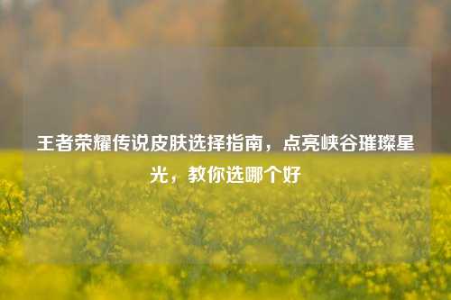 王者荣耀传说皮肤选择指南，点亮峡谷璀璨星光，教你选哪个好