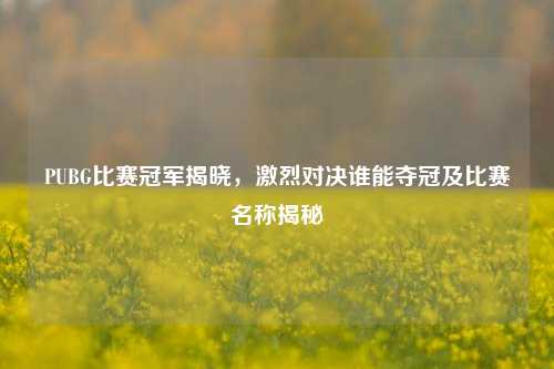 PUBG比赛冠军揭晓，激烈对决谁能夺冠及比赛名称揭秘