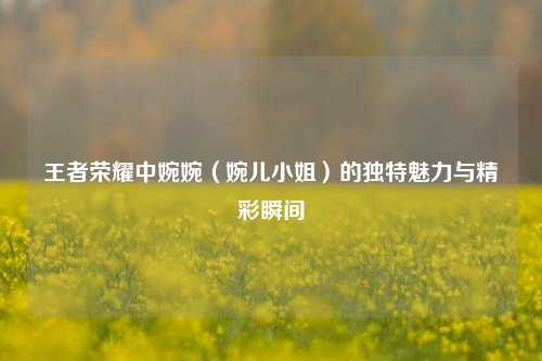 王者荣耀中婉婉（婉儿小姐）的独特魅力与精彩瞬间