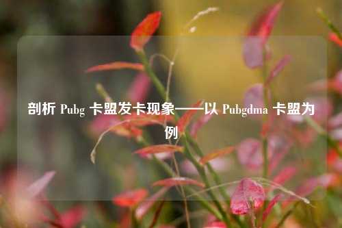 剖析 Pubg 卡盟发卡现象——以 Pubgdma 卡盟为例