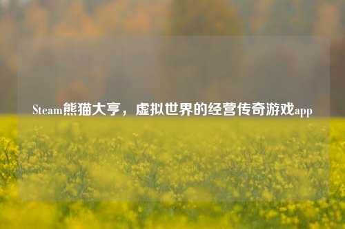 Steam熊猫大亨,虚拟世界的经营传奇游戏app