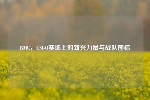 BMC，CSGO赛场上的新兴力量与战队图标