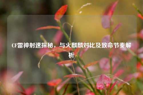 CF雷神射速探秘，与火麒麟对比及致命节奏解析