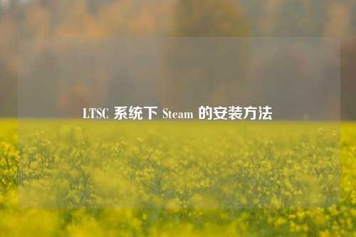 LTSC 系统下 Steam 的安装方法