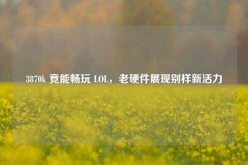3870k 竟能畅玩 LOL，老硬件展现别样新活力