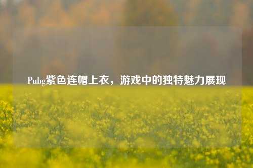 Pubg紫色连帽上衣，游戏中的独特魅力展现