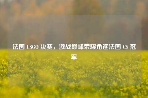 法国 CSGO 决赛，激战巅峰荣耀角逐法国 CS 冠军