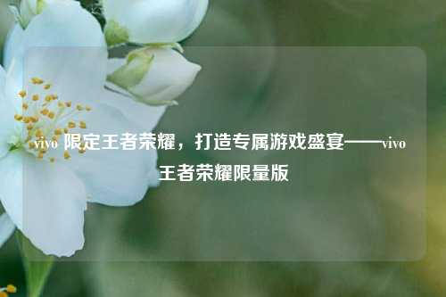 vivo 限定王者荣耀，打造专属游戏盛宴——vivo 王者荣耀限量版