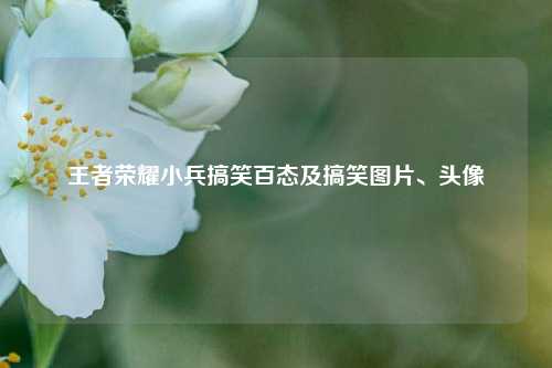 王者荣耀小兵搞笑百态及搞笑图片、头像