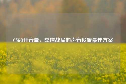 CSGO开音量，掌控战局的声音设置最佳方案