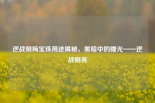 逆战明晦宝珠用途揭秘，黑暗中的曙光——逆战明亮