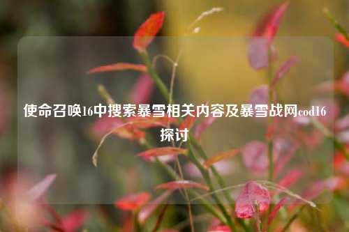 使命召唤16中搜索暴雪相关内容及暴雪战网cod16探讨