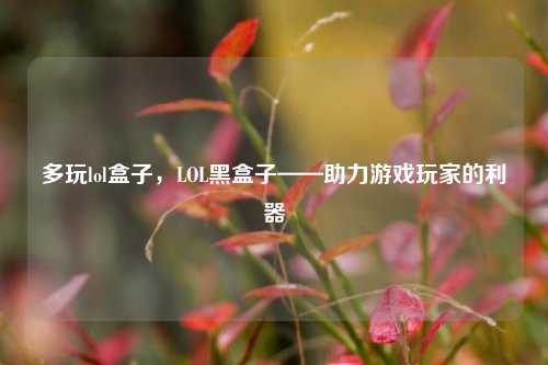 多玩lol盒子，LOL黑盒子——助力游戏玩家的利器