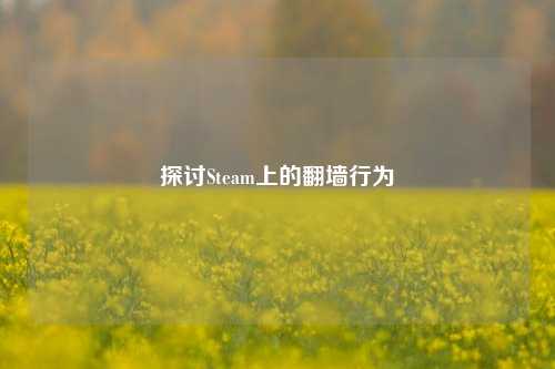 探讨Steam上的翻墙行为
