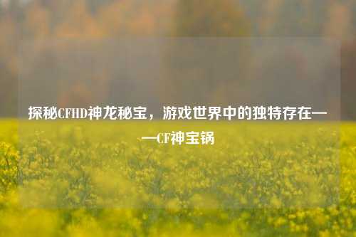 探秘CFHD神龙秘宝，游戏世界中的独特存在——CF神宝锅