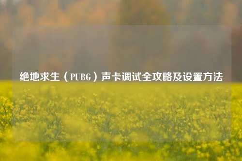 绝地求生（PUBG）声卡调试全攻略及设置方法