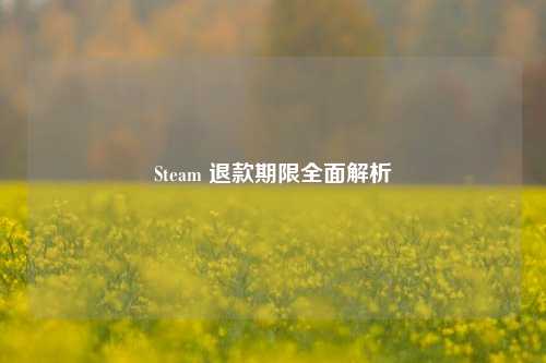 Steam 退款期限全面解析
