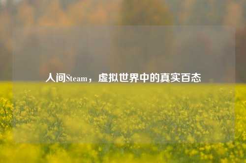 人间Steam，虚拟世界中的真实百态