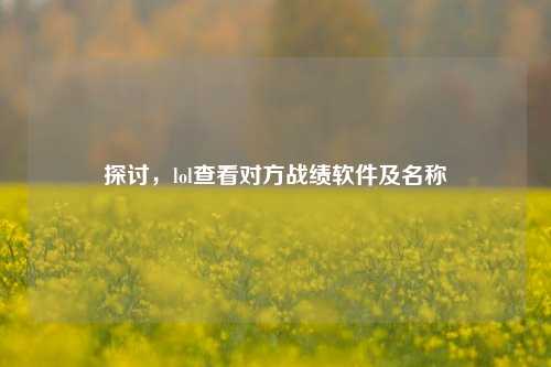 探讨，lol查看对方战绩软件及名称