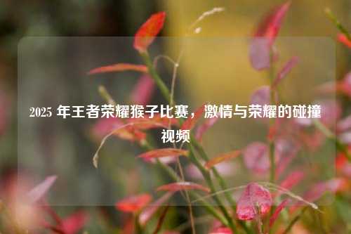 2025 年王者荣耀猴子比赛，激情与荣耀的碰撞视频