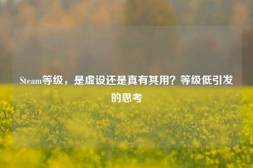 Steam等级,是虚设还是真有其用?等级低引发的思考