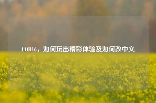 COD16，如何玩出精彩体验及如何改中文