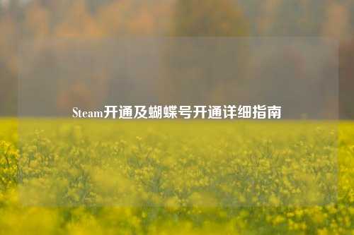Steam开通及蝴蝶号开通详细指南