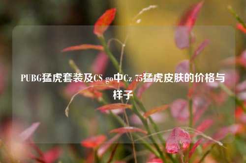 PUBG猛虎套装及CS go中Cz 75猛虎皮肤的价格与样子
