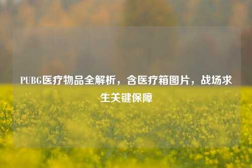 PUBG医疗物品全解析，含医疗箱图片，战场求生关键保障