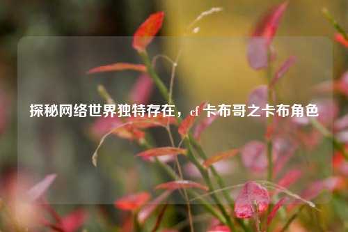 探秘网络世界独特存在，cf 卡布哥之卡布角色
