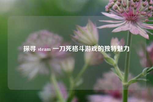 探寻 steam 一刀死格斗游戏的独特魅力